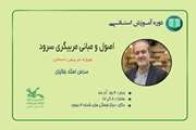  مربیان کانون مهارت‌های حرفه‌ای می‌آموزند